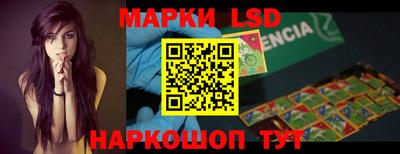 прущие грибы Будённовск