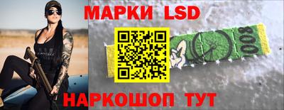 прущие грибы Будённовск