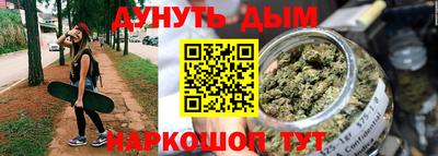 прущие грибы Будённовск