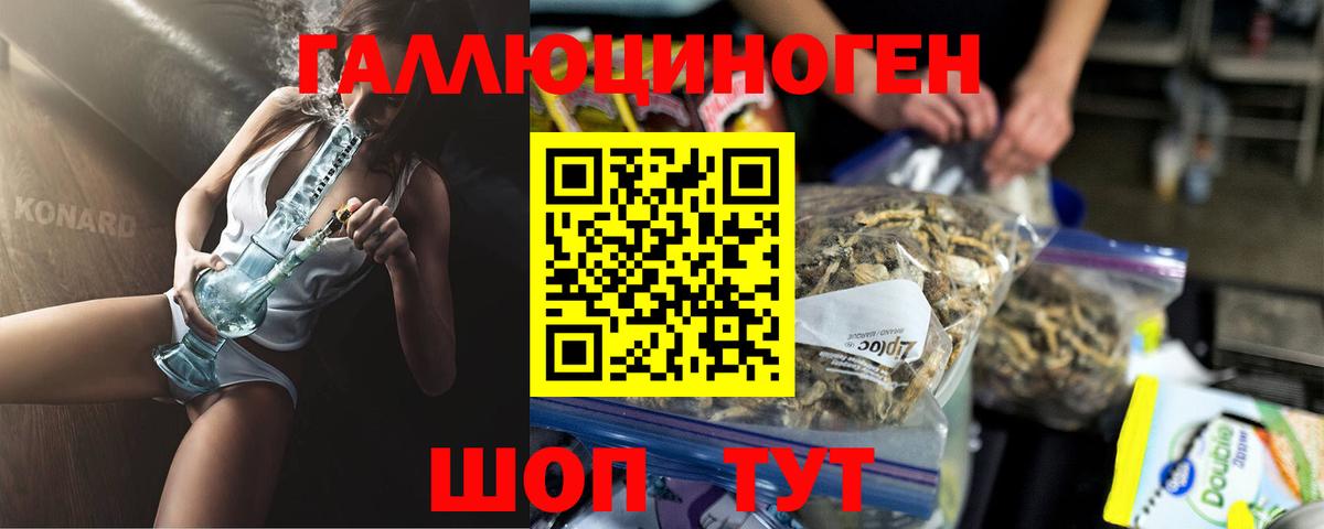Кудрово  что такое наркотик  Вход с VPN  Псилоцибиновые грибы Magic Shrooms 